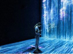 Virtual World Owners